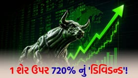 આ IT કંપની રોકાણકારોને કરી દેશે 'માલામાલ', જાણો ડિવિડન્ડની 'વિગત'