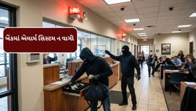 લૂંટારૂઓને બેંકના એલાર્મના વાયર કાપ્યા ન હતા