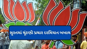 BJP ના કાર્યકર્તાઓ મહિલાઓ સાથે ગેરવતર્ન, જુઓ વીડિયો