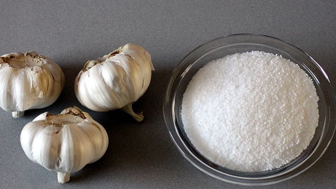 મીઠું અને લસણ: જો તમને દાંતનો તીવ્ર દુખાવો થઈ રહ્યો હોય, તો અસરગ્રસ્ત દાંત પર લસણનો ટુકડો લગાવવાથી રાહત મળી શકે છે. આ કરવા માટે, લસણની એક કળી વાટીને તેમાં મીઠું ભેળવી દો. લસણ અને મીઠાના આ મિશ્રણને સીધા દુખાતા દાંત પર લગાવો. લસણના ઉપચારાત્મક ગુણધર્મો મીઠા સાથે ભેળવીને દુખાવો ઘટાડવામાં ખૂબ અસરકારક છે.(ફોટો ક્રેડિટ-whisk AI)