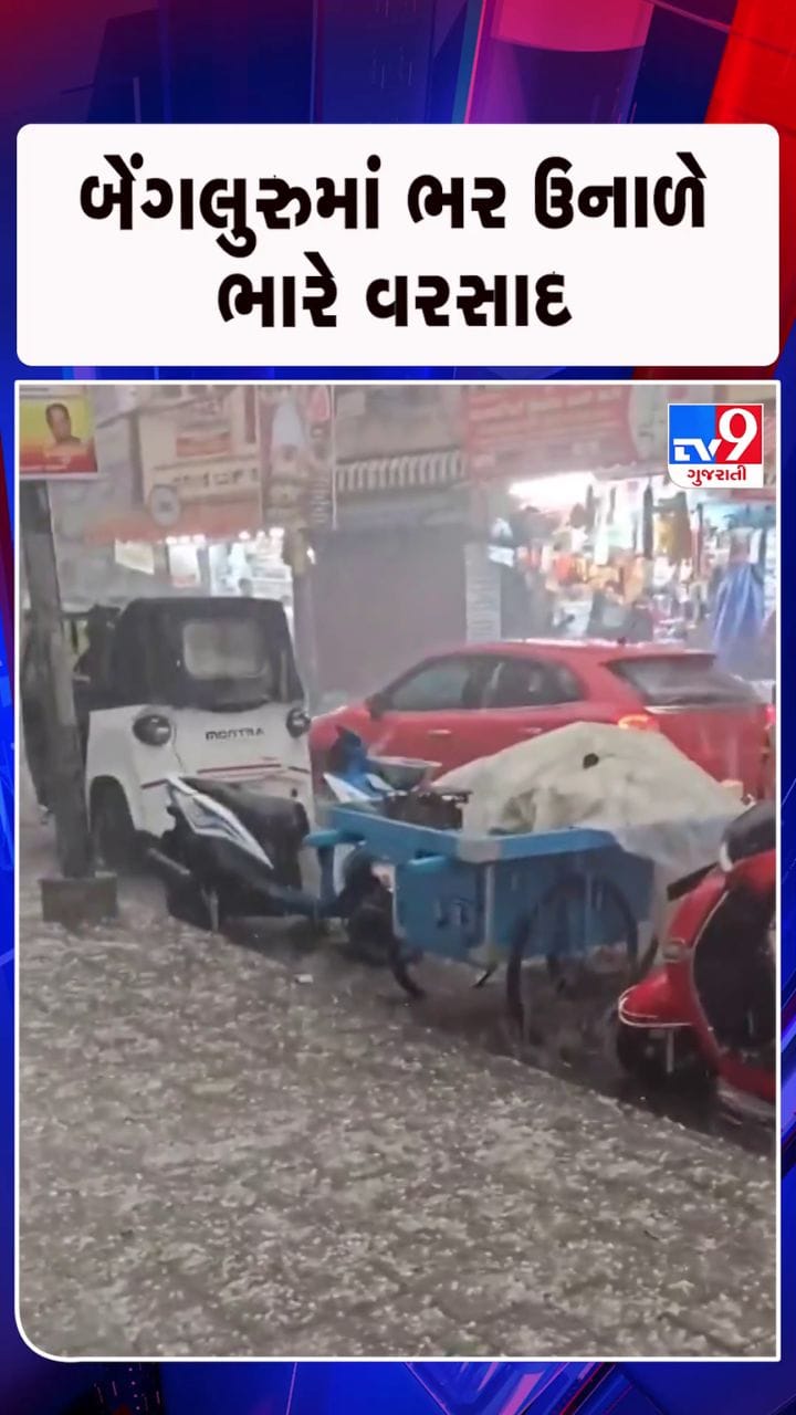 જિલ્લાઓમાં ધોધમાર વરસાદ સાથે પડ્યા કરા