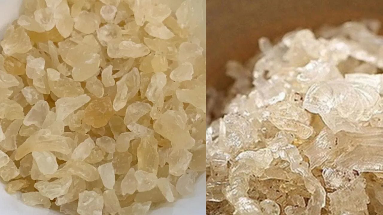 હેલ્ધી આઈસ્ક્રીમ કે ડેઝર્ટ: જો તમે ગરમીમાં મીઠાઈ ખાવાના શોખીન હોવ, તો ઘરે બનાવેલી આઈસ્ક્રીમ કે અન્ય કોઈ પણ ઠંડી વાનગીમાં ગોંદ કતીરા ઉમેરી શકાય છે. આ રીતે ખાવાથી ગરમી પણ ઓછી લાગશે અને તમે મીઠાઈનો હેલ્ધી વિકલ્પ પણ માણી શકશો.