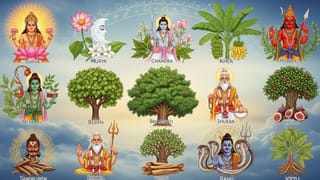 ગ્રહ દશાથી પરેશાન છો? જ્યોતિષ મુજબ આ 9 વૃક્ષોમાં છુપાયેલું છે તમારી સફળતાનું રહસ્ય, આજે જ જાણો