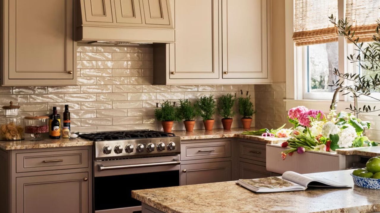 ઘણીવાર એવું બને છે કે ઘરના અમુક ખૂણા ગંદા રહે છે. લોકો વારંવાર આ ચોક્કસ વિસ્તારોને અવગણે છે. આવા કિસ્સાઓમાં, તેમને સાફ કરવું જરૂરી બની જાય છે, કારણ કે આમ કરવાથી વાસ્તુ સંબંધિત સમસ્યાઓ ઓછી થાય છે. તેથી, આજે આપણે ઘરના કયા વિસ્તારોને હંમેશા સ્વચ્છ અને વ્યવસ્થિત રાખવા જોઈએ તે અંગે જાણીશું.(ફોટો ક્રેડિટ-AI)