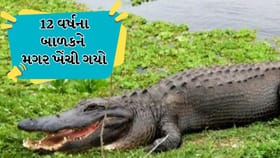 પિતાની નજર સામે 12 વર્ષના બાળકને મગર ખાઇ ગયો, જુઓ વીડિયો