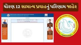 ધોરણ 12 સામાન્ય પ્રવાહનું પરિણામ જાહેર, વિદ્યાર્થિનીઓએ ફરી મારી બાજી