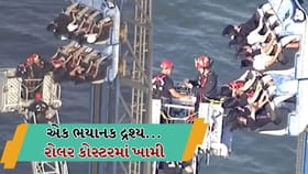 રોલર કોસ્ટરમાં ખામી, 100 ફૂટની ઊંચાઈએ 4 કલાક સુધી લટક્યા સ્કૂલના બાળકો