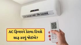 AC ફિલ્ટરને કેટલા દિવસે સાફ કરવું? જાણો ક્યારે કરાવવી જોઈએ ફુલ સર્વિસ