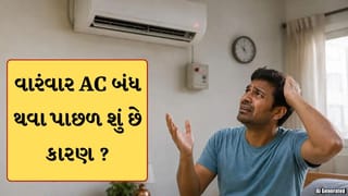 ગરમીમાં AC વારંવાર થઈ જાય છે બંધ? જાણો શું છે તેની પાછળના કારણ