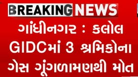 કેમિકલ વેસ્ટનો ટાંકો સાફ કરવા ઉતરેલા 3 મજૂરોના ગુંગળાઈ જવાથી મોત