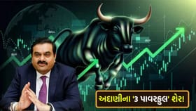 શું તમારી પાસે છે અદાણીના આ '3 શેર'?