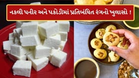 આરોગ્ય વિભાગની તવાઈ, એનાલોગ પનીર વેચતા 27 વેપારીઓ ઝડપાયા