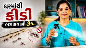 રસોડામાંથી દૂમદબાઈને ભાગશે કીડી, ટ્રીક જાણવા જુઓ Video