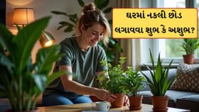 ઘરની સજાવટમાં લગાવ્યા છે નકલી છોડ? જાણો વાસ્તુ મુજબ શુભ કે અશુભ