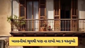 બાલ્કનીમાં ભૂલથી પણ ના રાખો આ 5 વસ્તુઓ, નહીં તો વાસ્તુ દોષ લાગી શકે