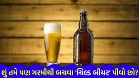 ઉનાળામાં ગળા નીચે ઉતરતી 'ઠંડી બીયર' તમારા માટે કેમ છે 'હાનિકારક'?