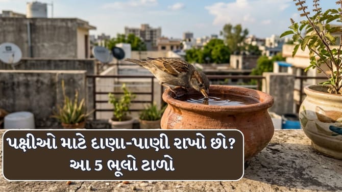 Vastu Tips : પક્ષીઓ માટે દાણા-પાણી રાખતી વખતે ક્યારેય ન કરો આ 5 ભૂલો!