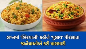 લગ્નમાં બિરયાની કહીને પુલાવ પીરસાતા જાનૈયાઓએ કરી મારામારી- જુઓ Video