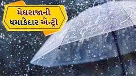 સાબરકાંઠા-અરવલ્લી-મહીસાગરમાં વરસાદથી ગરમીમાંથી રાહત, જુઓ Video