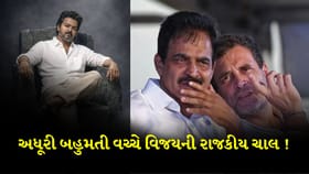 અધૂરી બહુમતી વચ્ચે થલાપતિ વિજયની રાજકીય ચાલ!