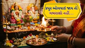 કપૂર ઓલવાઈ જાય તો ગભરાશો નહીં, આ રીતે પૂજા કરો પૂર્ણ