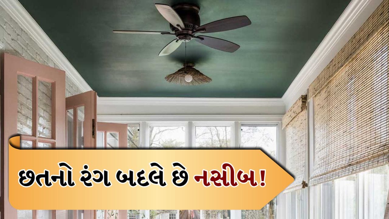 જ્યારે પણ આપણે નવું ઘર બનાવીએ છીએ અથવા તેનું નવીનીકરણ કરીએ છીએ, ત્યારે આપણે ઘણીવાર દિવાલોથી લઈને છત સુધી બધું જ આકર્ષક બનાવવા માટે અલગ અલગ રંગોમાં રંગીએ છીએ. જો કે આ જ રંગો વાતાવરણને પણ અસર કરે છે. તેથી છતને રંગતા પહેલા કેટલીક બાબતો ધ્યાનમાં રાખવી મહત્વપૂર્ણ છે. જ્યોતિષ અને વાસ્તુ નિષ્ણાત રિદ્ધિ બહલે આ વિષય પર માહિતી શેર કરી છે.
