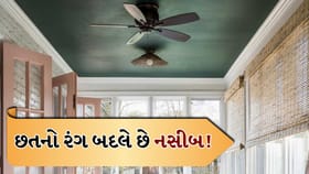 છતનો રંગ માત્ર સુંદરતા નહીં, ઘરની ઊર્જા પર પણ કરે છે અસર