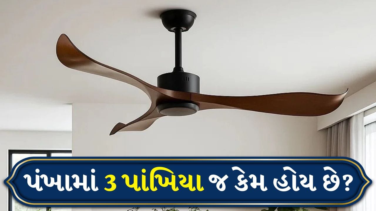 ઉનાળામાં રાહત આપતી દરેક ઘરમાં છતનો પંખો એક મૂળભૂત જરૂરિયાત છે. પરંતુ શું તમે ક્યારેય નોંધ્યું છે કે ભારતમાં મોટાભાગના છતના પંખામાં ફક્ત ત્રણ બ્લેડ જ કેમ હોય છે? તેનાથી વિપરીત, જ્યારે આપણે હોલીવુડ ફિલ્મો કે વિદેશી ઘરો જોઈએ છીએ, ત્યારે આપણે ઘણીવાર ચાર કે પાંચ બ્લેડવાળા પંખો જોઈએ છીએ. પંખાના બ્લેડની આ સંખ્યા કોઈ ભૂલ નથી; તે સંપૂર્ણપણે વિજ્ઞાન, એન્જિનિયરિંગ અને દેશના બદલાતા વાતાવરણના ભૂગોળ પર આધારિત છે, જે તેની ગતિ અને પવનની ગતિ નક્કી કરે છે.
