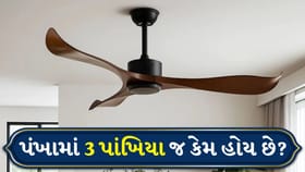 4 કે 5 નહીં, પંખામાં 3 બ્લેડ જ કેમ રાખવામાં આવે છે?