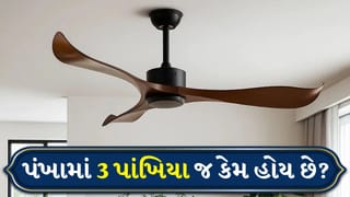 સીલિંગ ફેનમાં મોટાભાગે ફક્ત ત્રણ બ્લેડ જ કેમ હોય છે, તેની પાછળનું લોજીક શું છે?