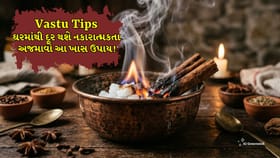 Vastu Tips: કપૂર સાથે તજ સળગાવો અને બદલો નસીબ!