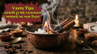 Vastu Tips: ઘરેમાંથી દૂર થશે નકારાત્મકતા, અજમાવો કપૂર-તજનો ખાસ ઉપાય