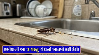 રસોડામાં વંદાનો આતંક? કેમિકલ સ્પ્રે ફેંકો કચરામાં… આ ‘3 કુદરતી નુસખા’ મિનિટોમાં કરી દેશે કોકરોચનો સફાયો!