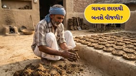 છાણમાંથી વીજળી: શું ગોબર ગેસથી AC ચાલી શકે?