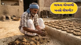 છાણમાંથી વીજળી: શું ગોબર ગેસથી AC ચાલી શકે?