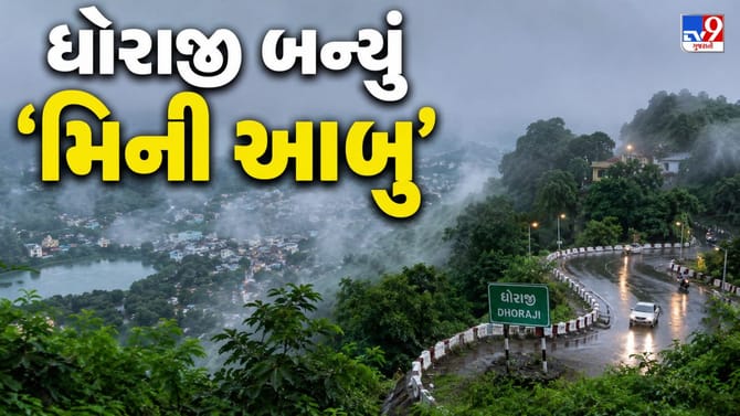 ધોરાજીમાં ગાઢ ધુમ્મસની ચાદર, હિલ સ્ટેશન જેવો નજારો પણ ખેડૂતો ચિંતિત