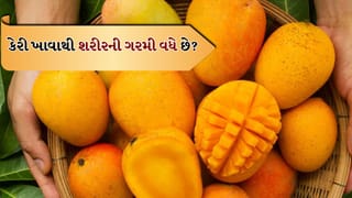 Mango And Body Heat : શું ખરેખર વધારે પડતી કેરી ખાવાથી શરીરની ગરમી વધે છે? જાણો ડોક્ટર શું કહે છે