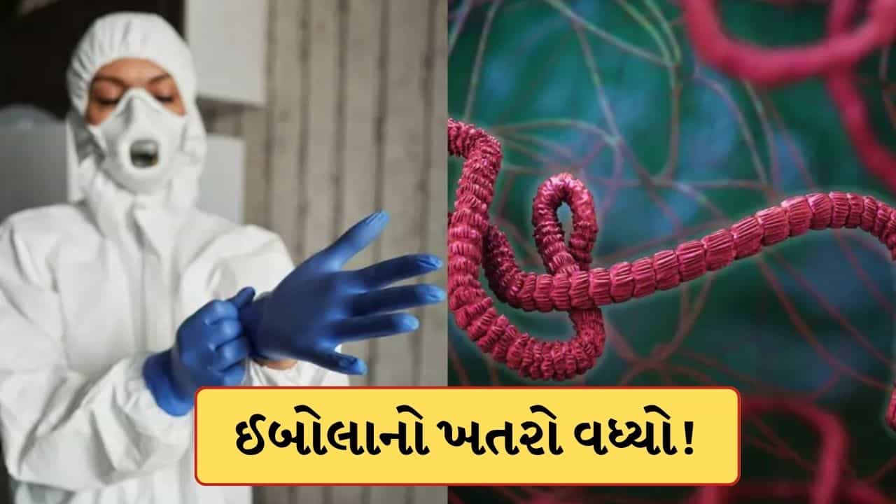 Breaking News : ઈબોલાને લઈને ભારતે જાહેર કરી એડવાઈઝરી, આ ત્રણ દેશમાં મુસાફરી ટાળવાની આપી સલાહ