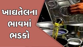 સિંગતેલ-કપાસિયા તેલ મોંઘા થતા ઘરખર્ચ પર ભાર, જુઓ Video