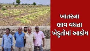 ખેડૂતોની આવક બમણી કરવાના સરકારના દાવા વચ્ચે ખાતરના ભાવમાં ભડકો, ખેડૂતોના હાલ બેહાલ