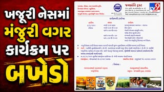 Breaking News : ગીર અભયારણ્યમાં નિયમોના ધજાગરા ! ખજૂરી નેસમાં મંજુરી વિનાના કાર્યક્રમ પર બખેડો, જુઓ Video