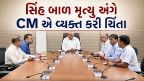 ગીરના સિંહોને લઈને સરકાર એલર્ટ, CMએ બોલાવી ઉચ્ચ સ્તરીય બેઠક