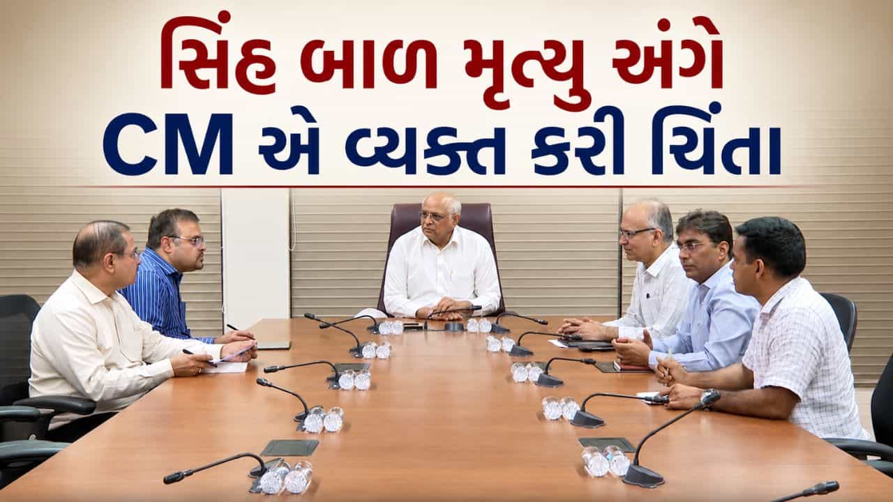 ગીરના સિંહોને લઈને સરકાર એલર્ટ, CMએ બોલાવી ઉચ્ચ સ્તરીય બેઠક