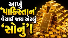 આ કંપનીએ 'ગોલ્ડ રિઝર્વ' વધારીને રચ્યો 'નવો ઈતિહાસ'