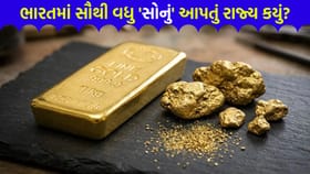 રાજસ્થાન કે બિહાર નહીં... આ રાજ્ય છે ભારતની અસલી 'સોનાની ચિડિયા'