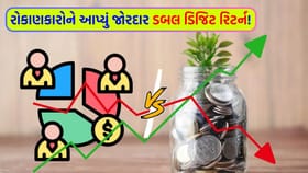 શેરબજારના કડાકા વચ્ચે પણ આ મ્યુચ્યુઅલ ફંડે કરાવ્યો 'જબરદસ્ત નફો'
