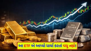 ઓછા રોકાણે મોટી કમાણી ! સોના-ચાંદીના આ ફંડે રોકાણકારોના પૈસા ડબલથી પણ વધુ કરી દીધા
