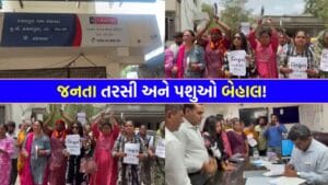 કાગળ પર વિકાસ પણ ગામમાં પાણીનું એક ટીપું નહીં, સરકારી અધિકારીઓની ઢીલી નીતિ સામે ગ્રામજનોનો ‘ઉગ્ર આક્રોશ’ – જુઓ Video