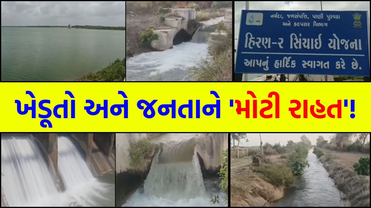 કાળઝાળ ગરમી વચ્ચે ખેડૂતો માટે રાહતના સમાચાર, ગીર સોમનાથમાં મુખ્ય 5 ડેમમાં પૂરતો પાણીનો જથ્થો ઉપલબ્ધ - જુઓ Video કાળઝાળ ગરમી વચ્ચે ખેડૂતો માટે રાહતના સમાચાર, ગીર સોમનાથમાં મુખ્ય 5 ડેમમાં પૂરતો પાણીનો જથ્થો ઉપલબ્ધ - જુઓ Video