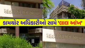 ‘કામચોરી’ ભારે પડી! AMCના 13 અધિકારીઓને 'શો-કોઝ' નોટિસ - જુઓ Video